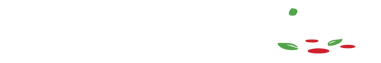 footer-logo
